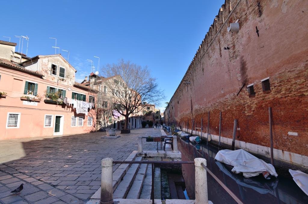 Venice Life Стая снимка